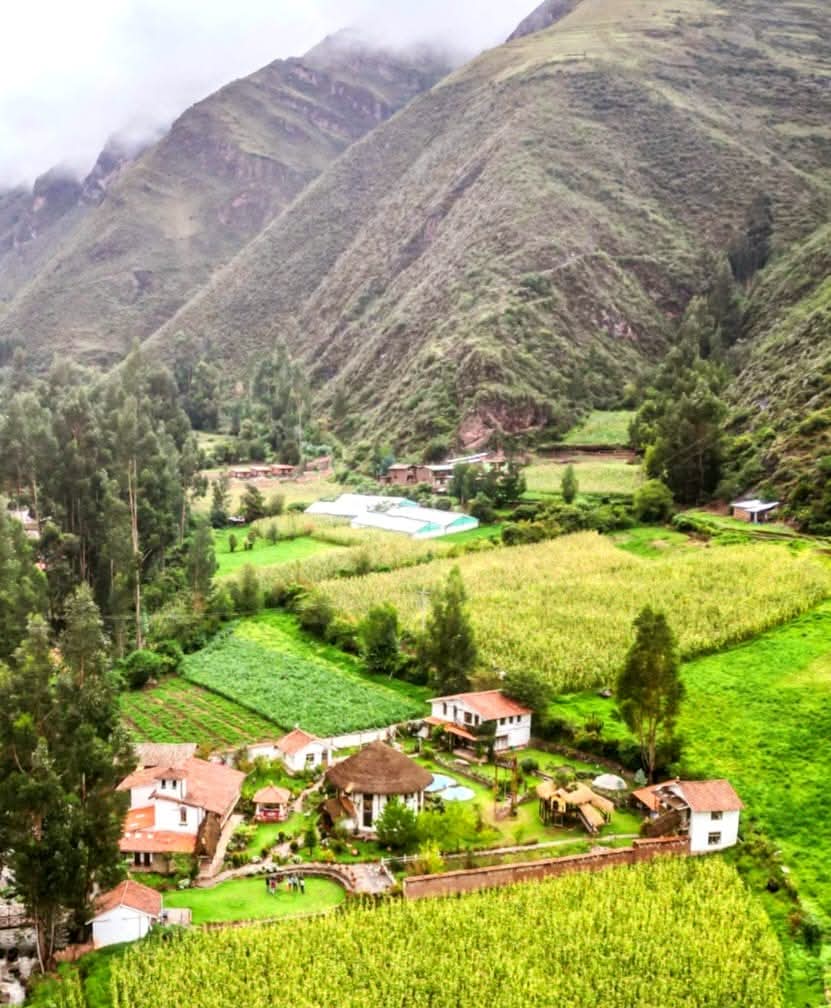 Rewoven: Trauma-Informed Ayahuasca Retreat 3