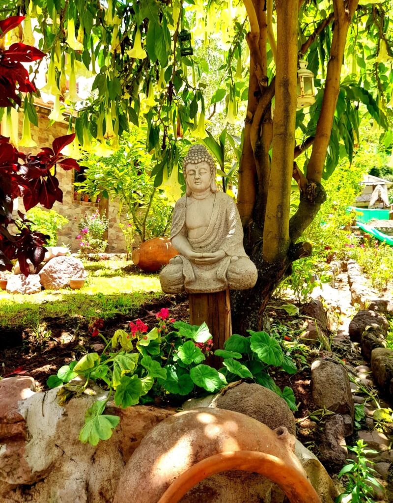 Rewoven: Trauma-Informed Ayahuasca Retreat 7